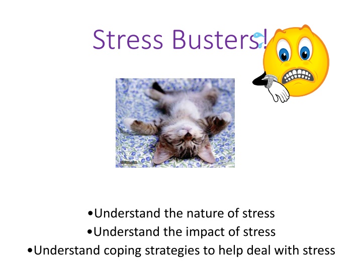 stress busters