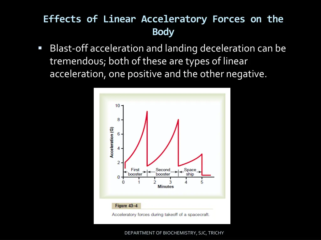 effects of linear acceleratory forces on the body