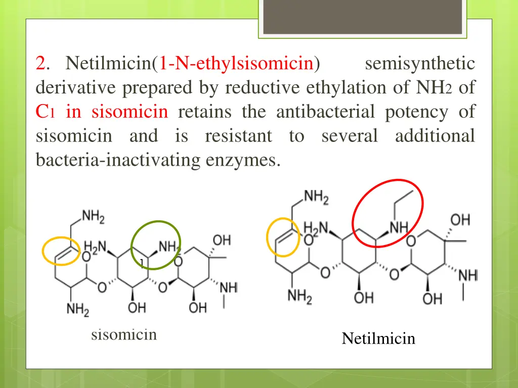 2 netilmicin 1 n ethylsisomicin derivative