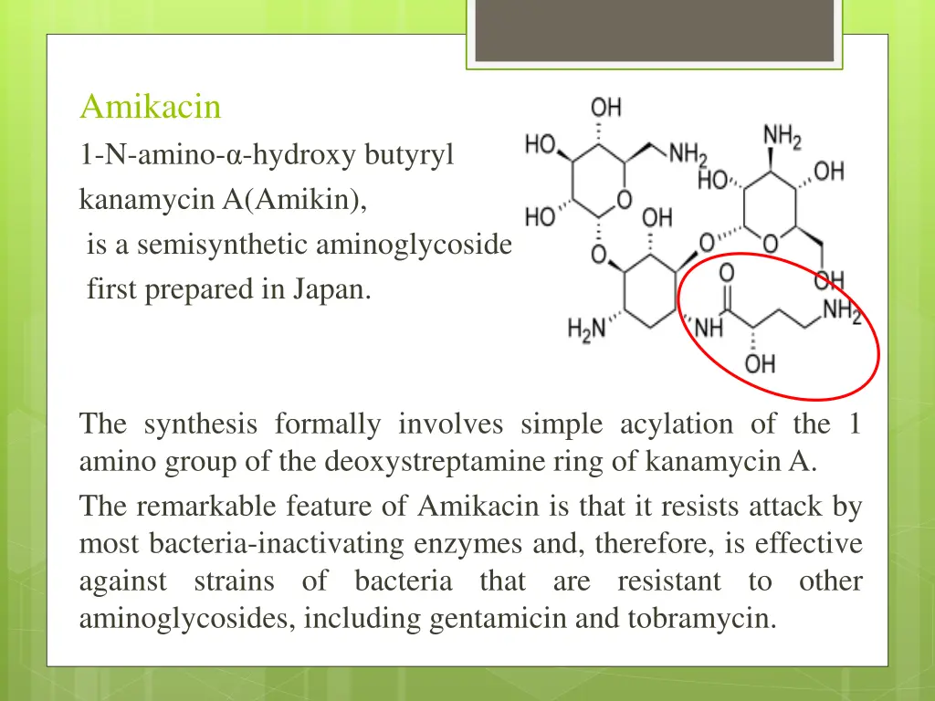 amikacin 1 n amino hydroxy butyryl kanamycina