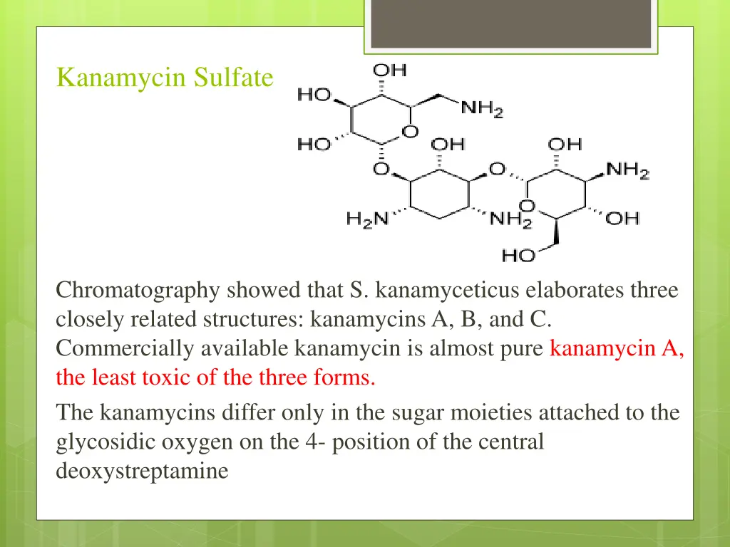 kanamycin sulfate