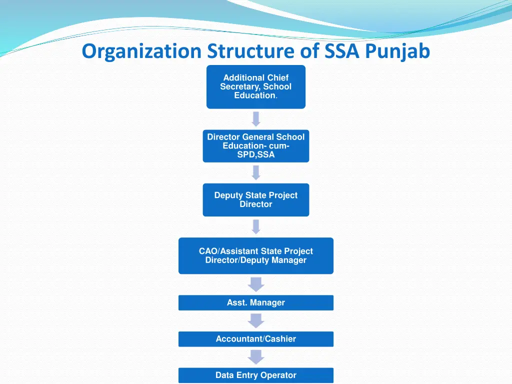 organization structure of ssa punjab