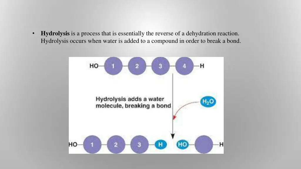 hydrolysis is a process that is essentially