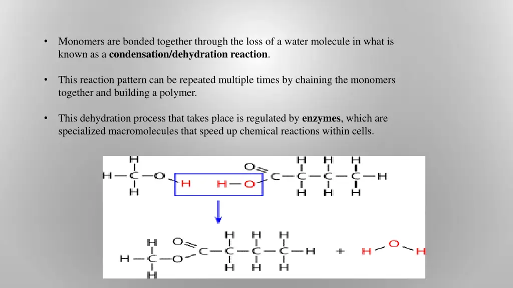 monomers are bonded together through the loss