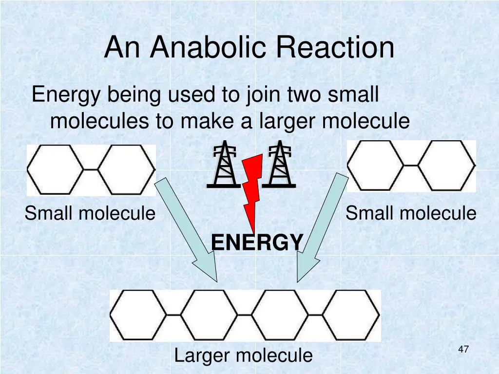 an anabolic reaction