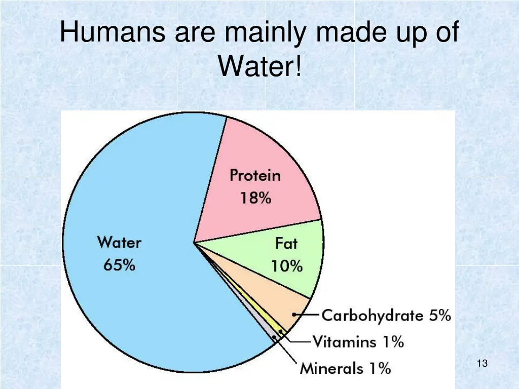 humans are mainly made up of water