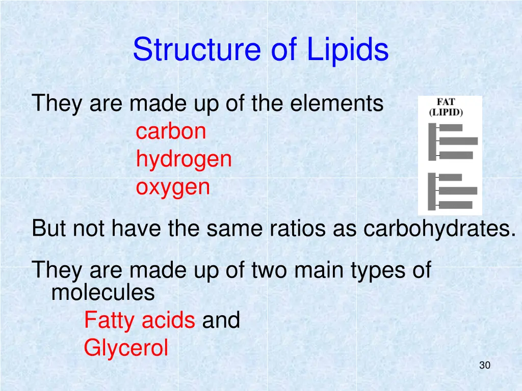 structure of lipids