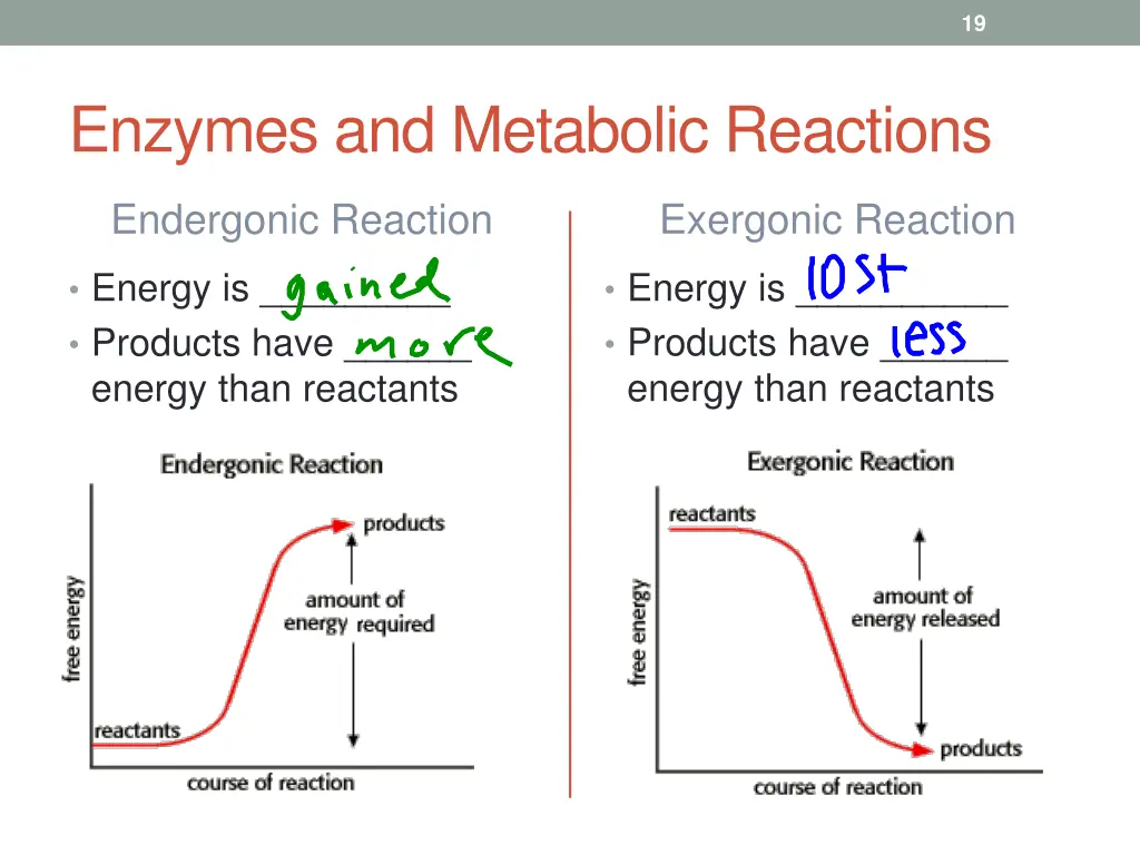 slide19