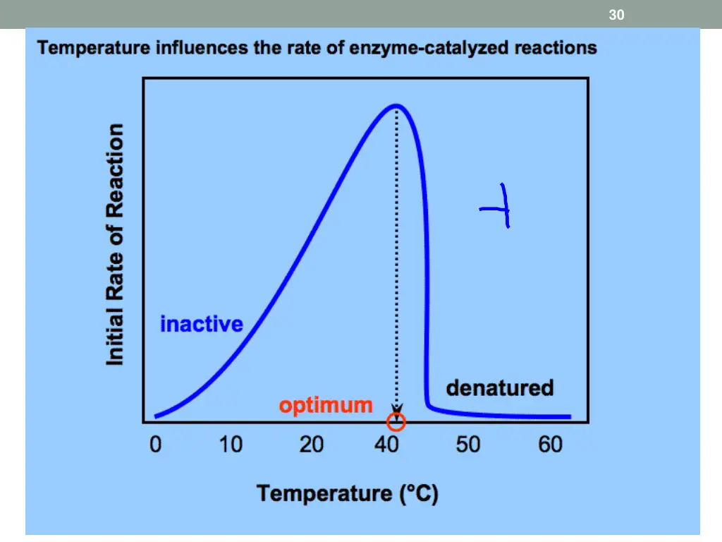 slide30