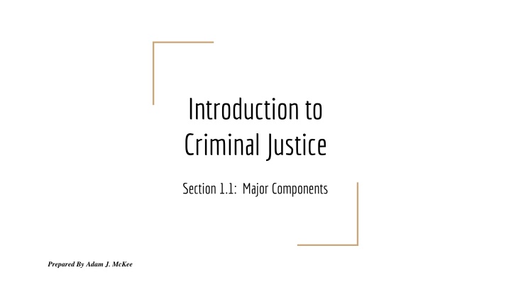 introduction to criminal justice