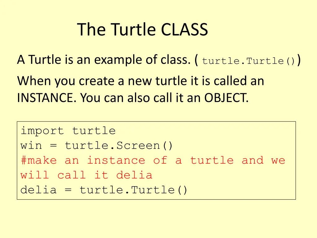 the turtle class