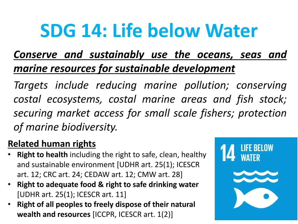 sdg 14 life below water