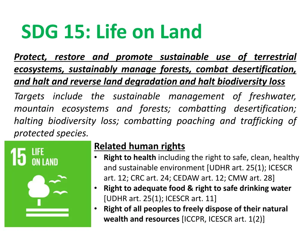 sdg 15 life on land