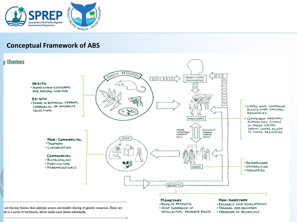 conceptual framework of abs