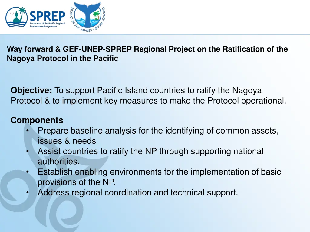 way forward gef unep sprep regional project