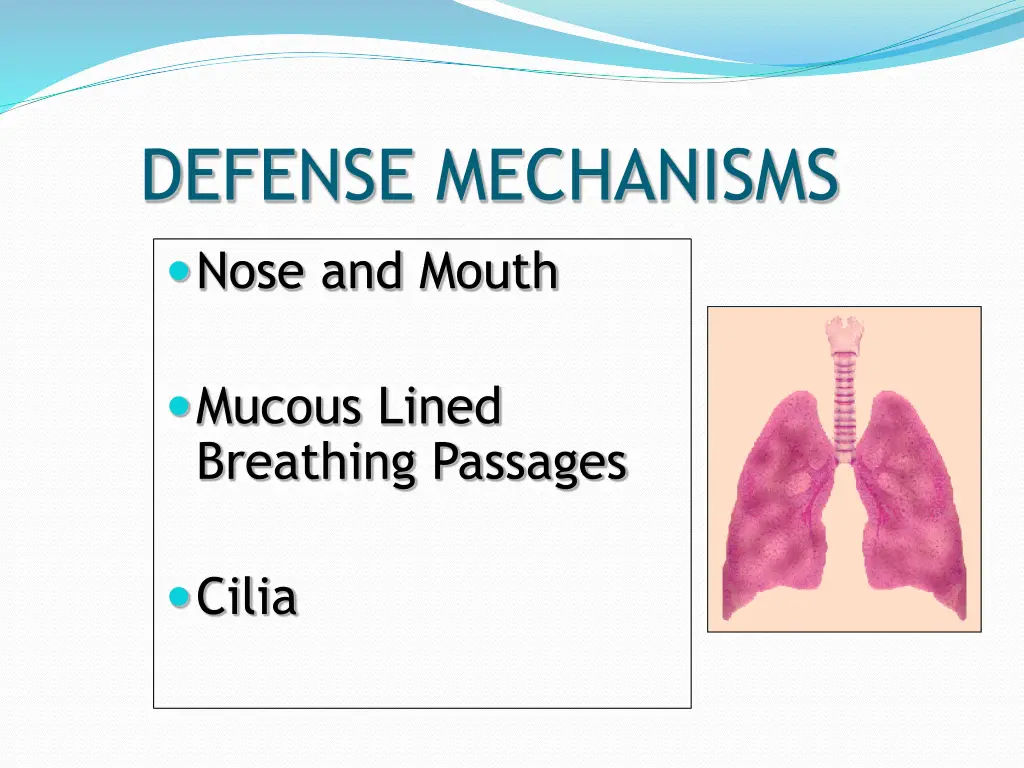 defense mechanisms