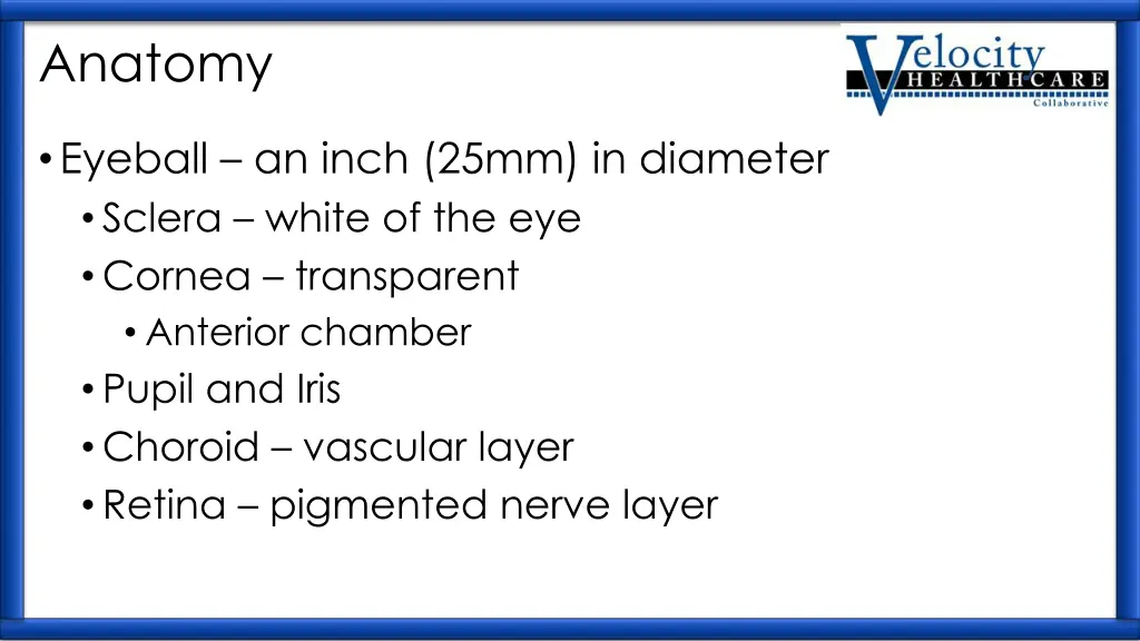 anatomy 1