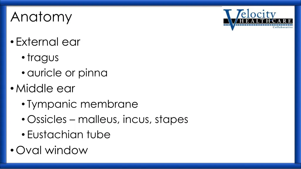 anatomy 5