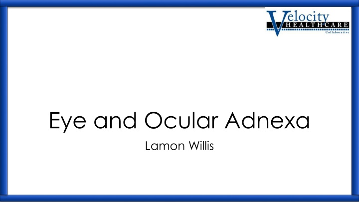 eye and ocular adnexa lamon willis