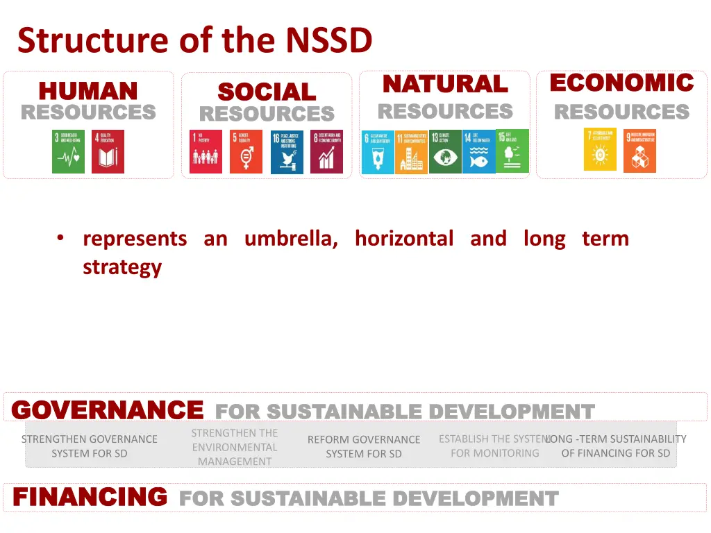 structure of the nssd