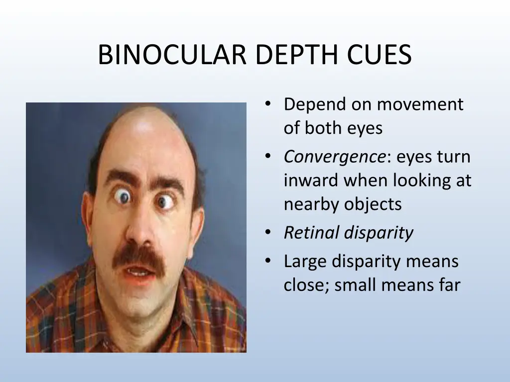 binocular depth cues