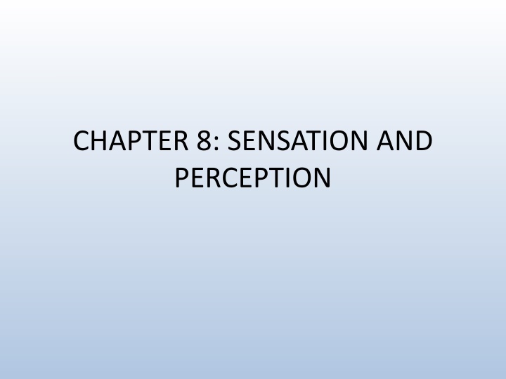 chapter 8 sensation and perception