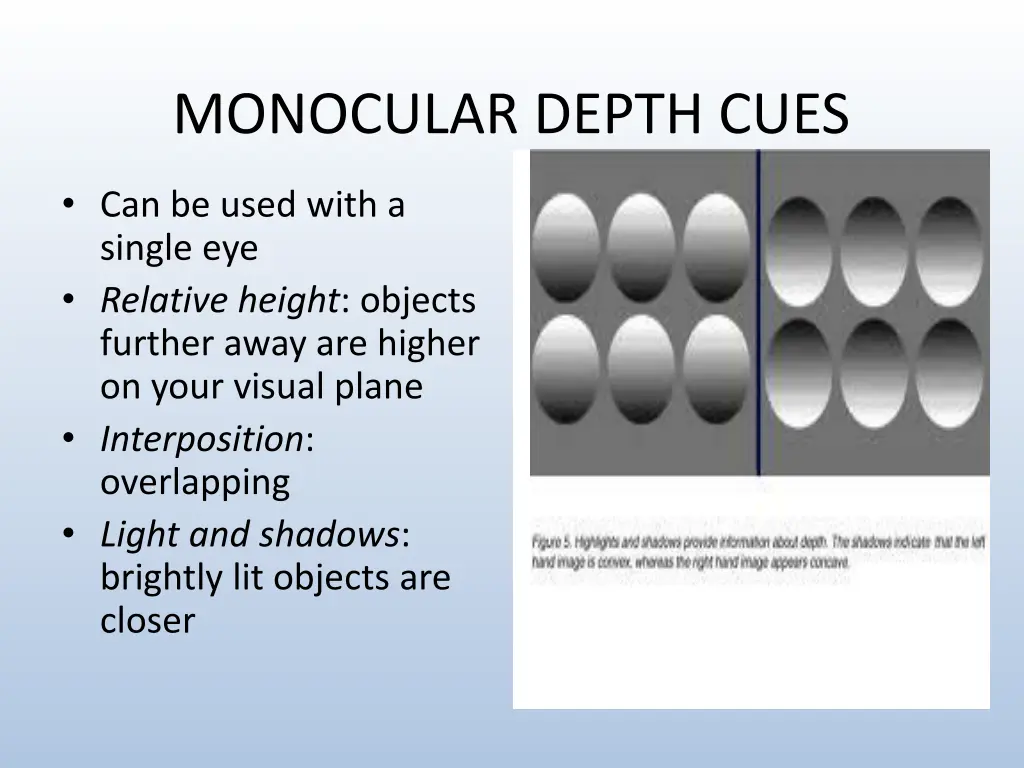 monocular depth cues