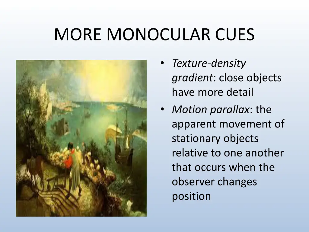 more monocular cues