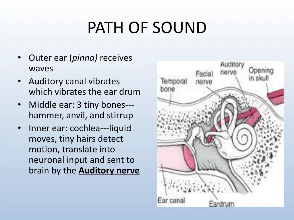 path of sound