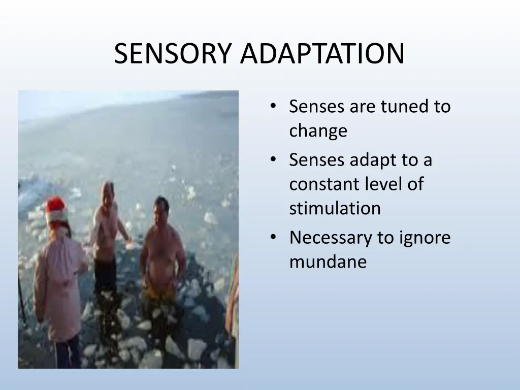 sensory adaptation