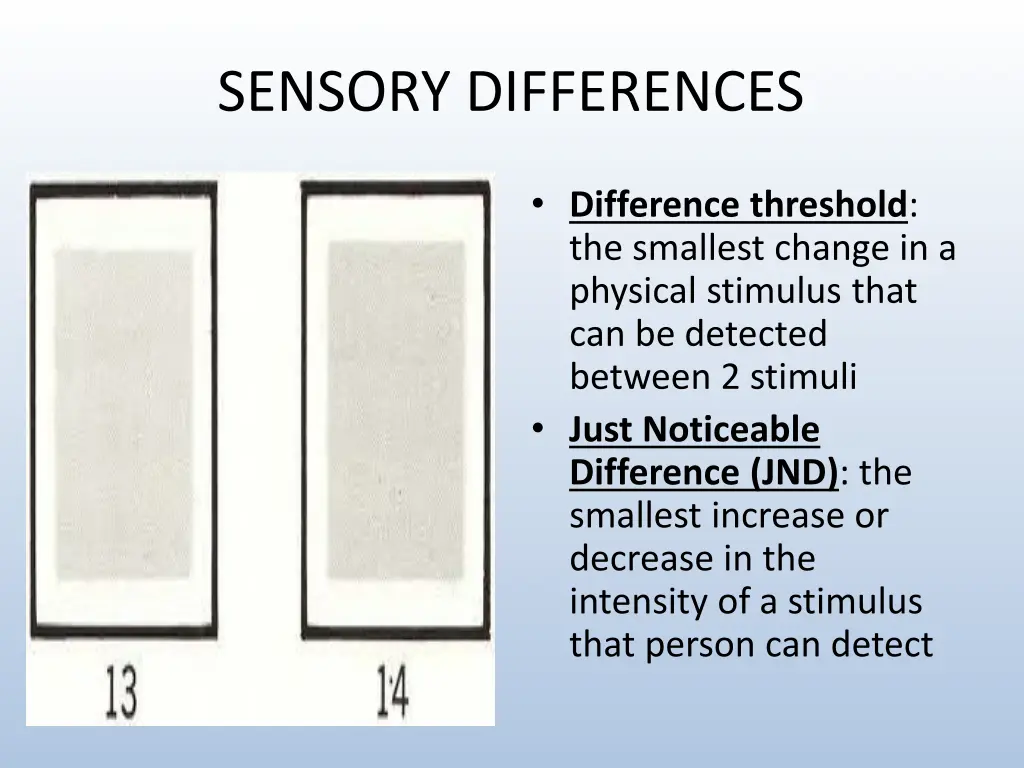 sensory differences