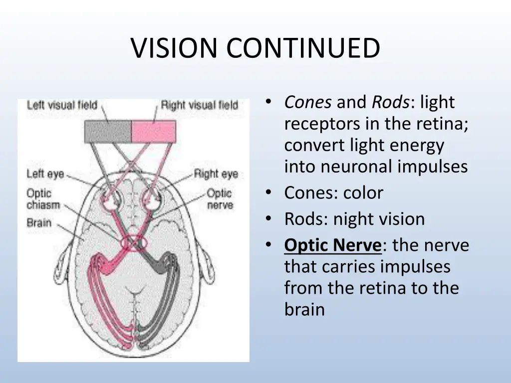 vision continued