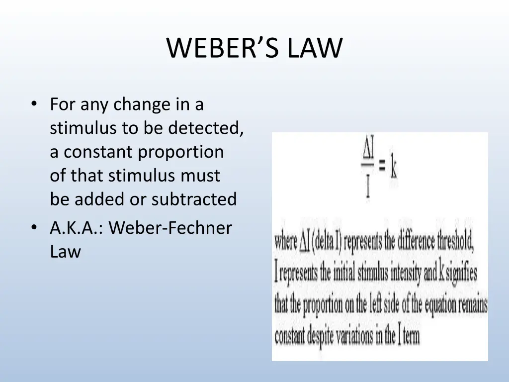 weber s law