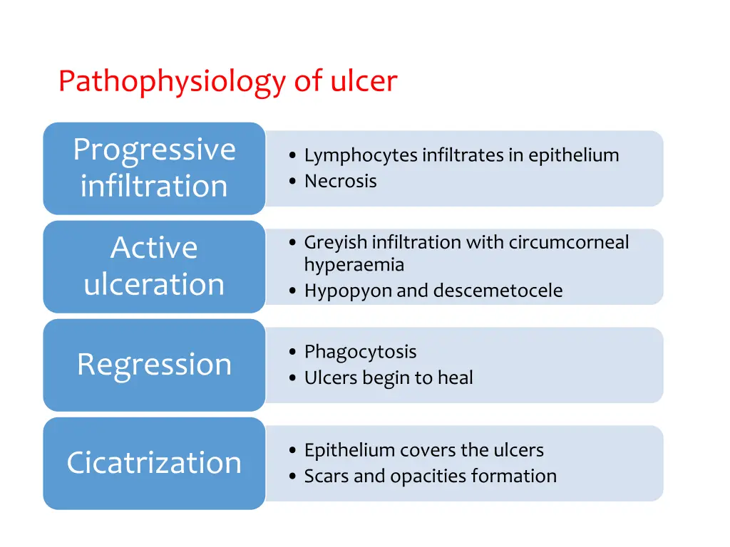 pathophysiology of ulcer