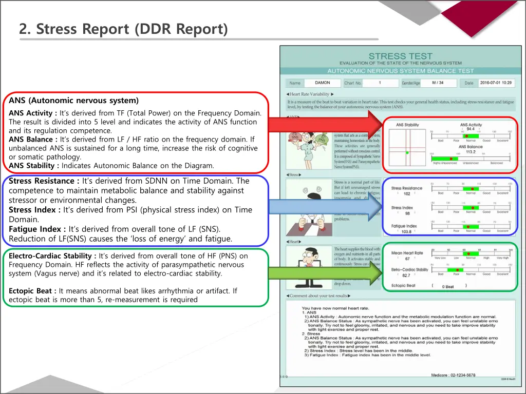 2 stress report ddr report