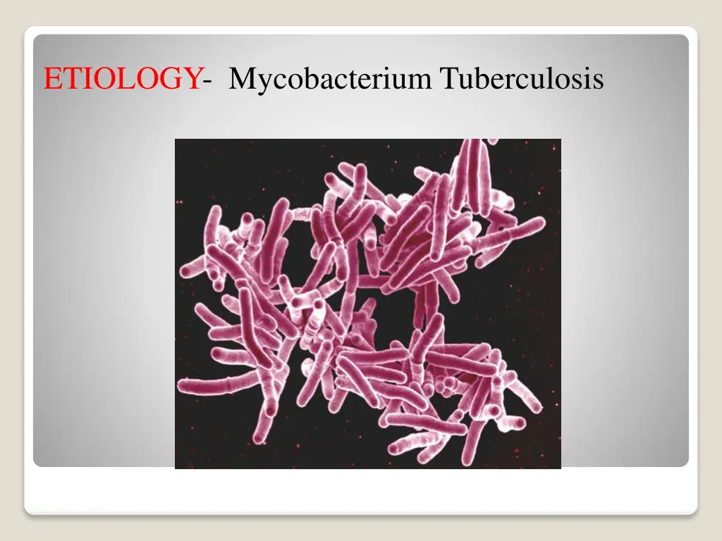 etiology mycobacterium tuberculosis