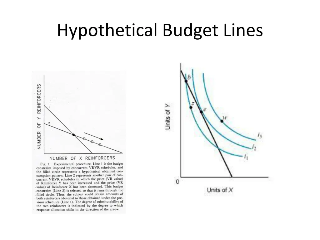 hypothetical budget lines