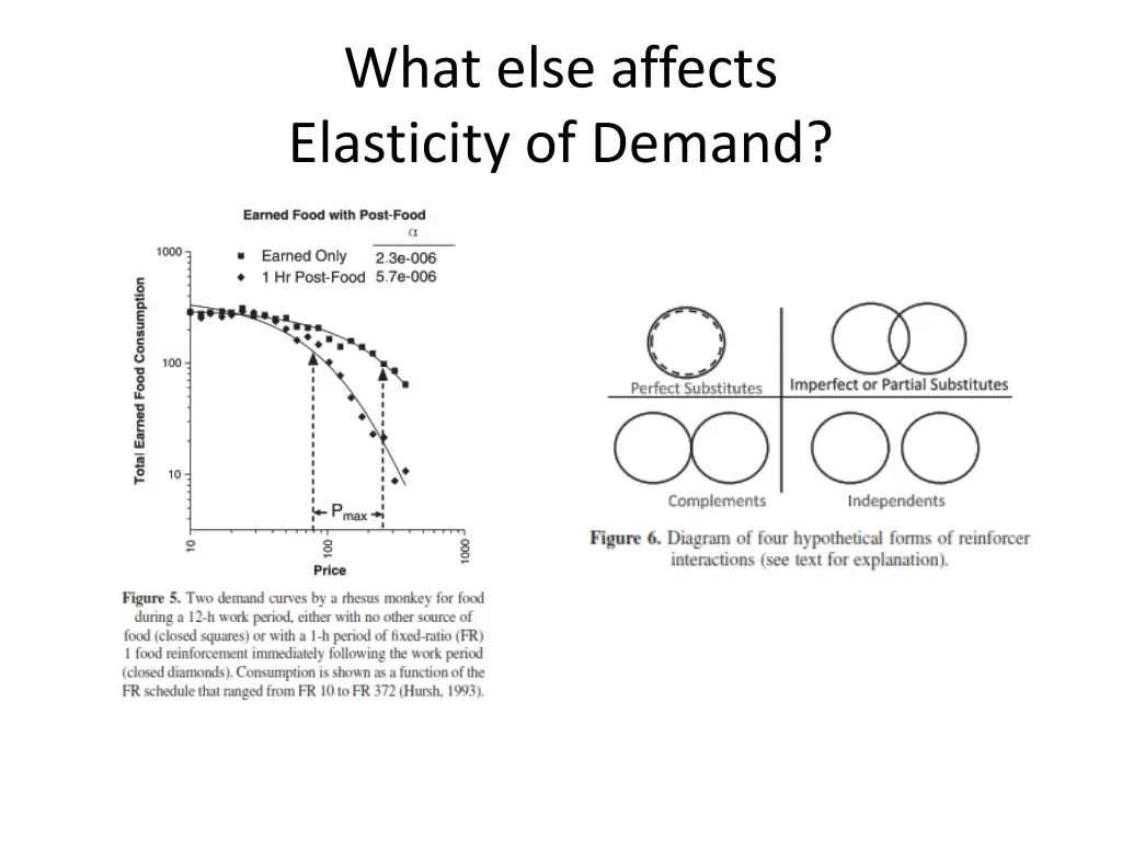 what else affects elasticity of demand