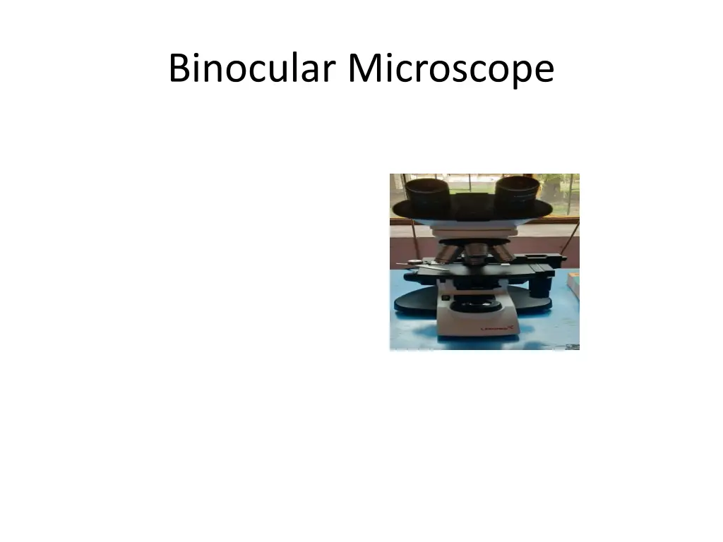 binocular microscope