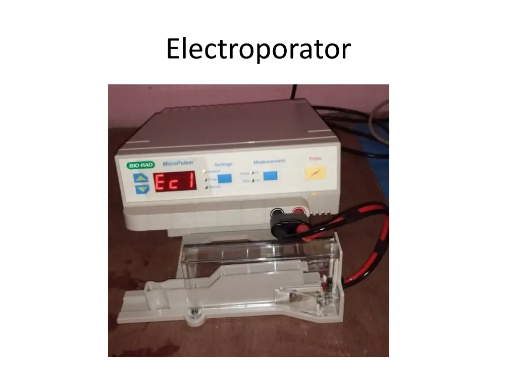 electroporator