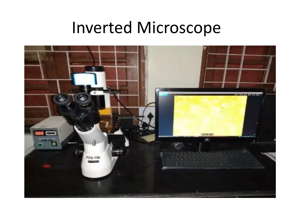 inverted microscope