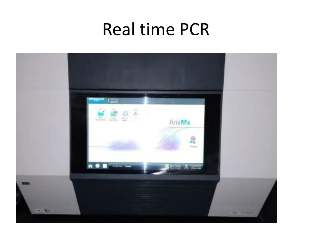 real time pcr