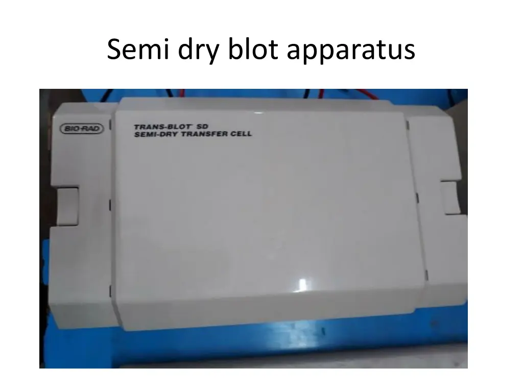 semi dry blot apparatus