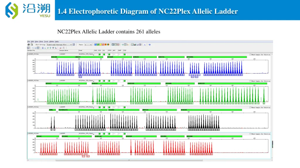 1 4 electrophoretic diagram of nc22plex allelic