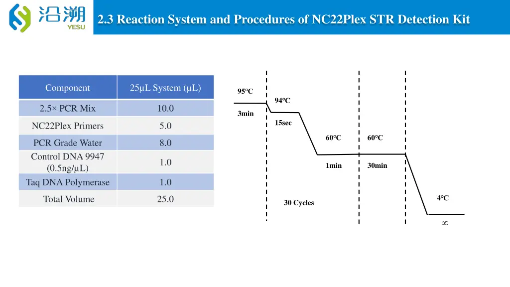 2 3 reaction system and procedures of nc22plex