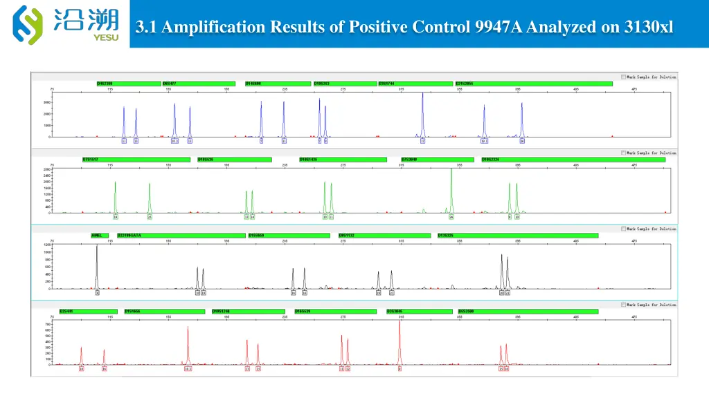 3 1 amplification results of positive control