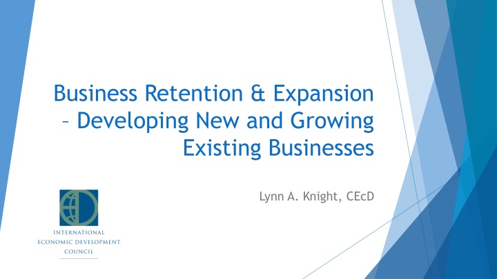 business retention expansion developing