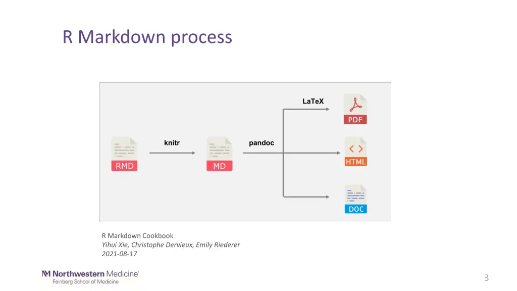 r markdown process