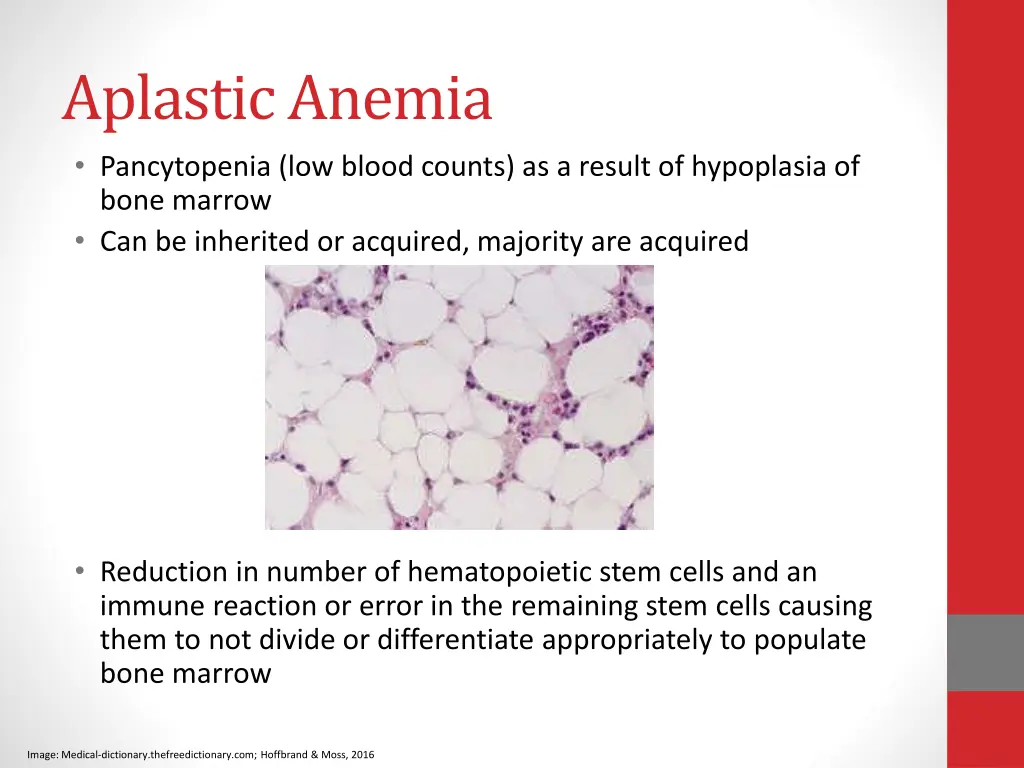 aplastic anemia pancytopenia low blood counts