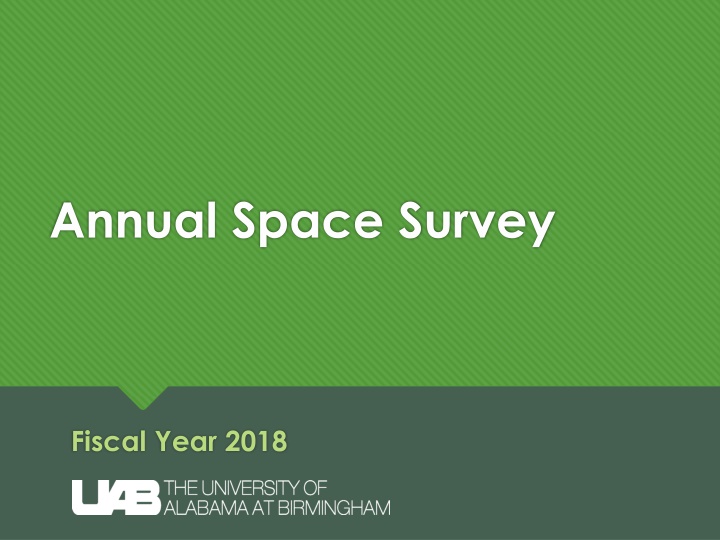 annual space survey